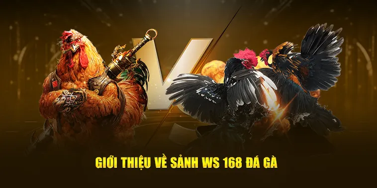 Bí Kíp Cách Chơi Đá Gà WS168 Tại Hi88 Ăn Tiền Nhiều Nhất 2 Bí Kíp Cách Chơi Đá Gà WS168 Tại Hi88 Ăn Tiền Nhiều Nhất